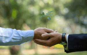 Environmental, Social and Governance (ESG)