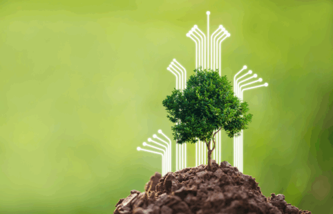 Moore Sustainability Research Institute (MSRI)