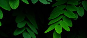 ESG Integration in Valuation