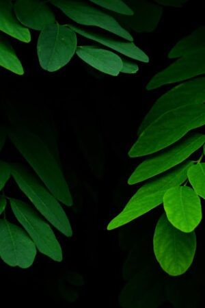 Moore Sustainability Research Institute (MSRI)