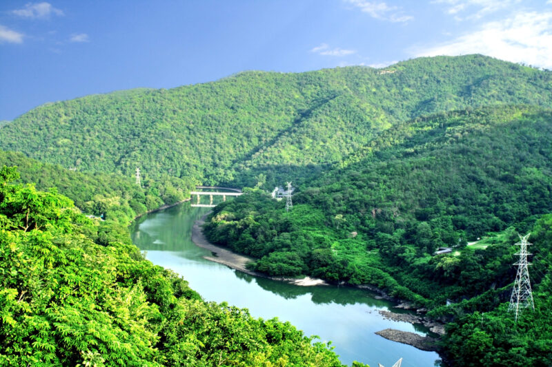 Moore effort for a sustainable future