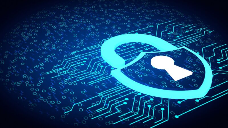 The Importance of Data Privacy: Safeguarding Sensitive Information in the Digital Age